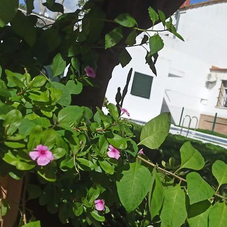 Casa Turquesa Vila Valencina de la Concepción Exterior foto