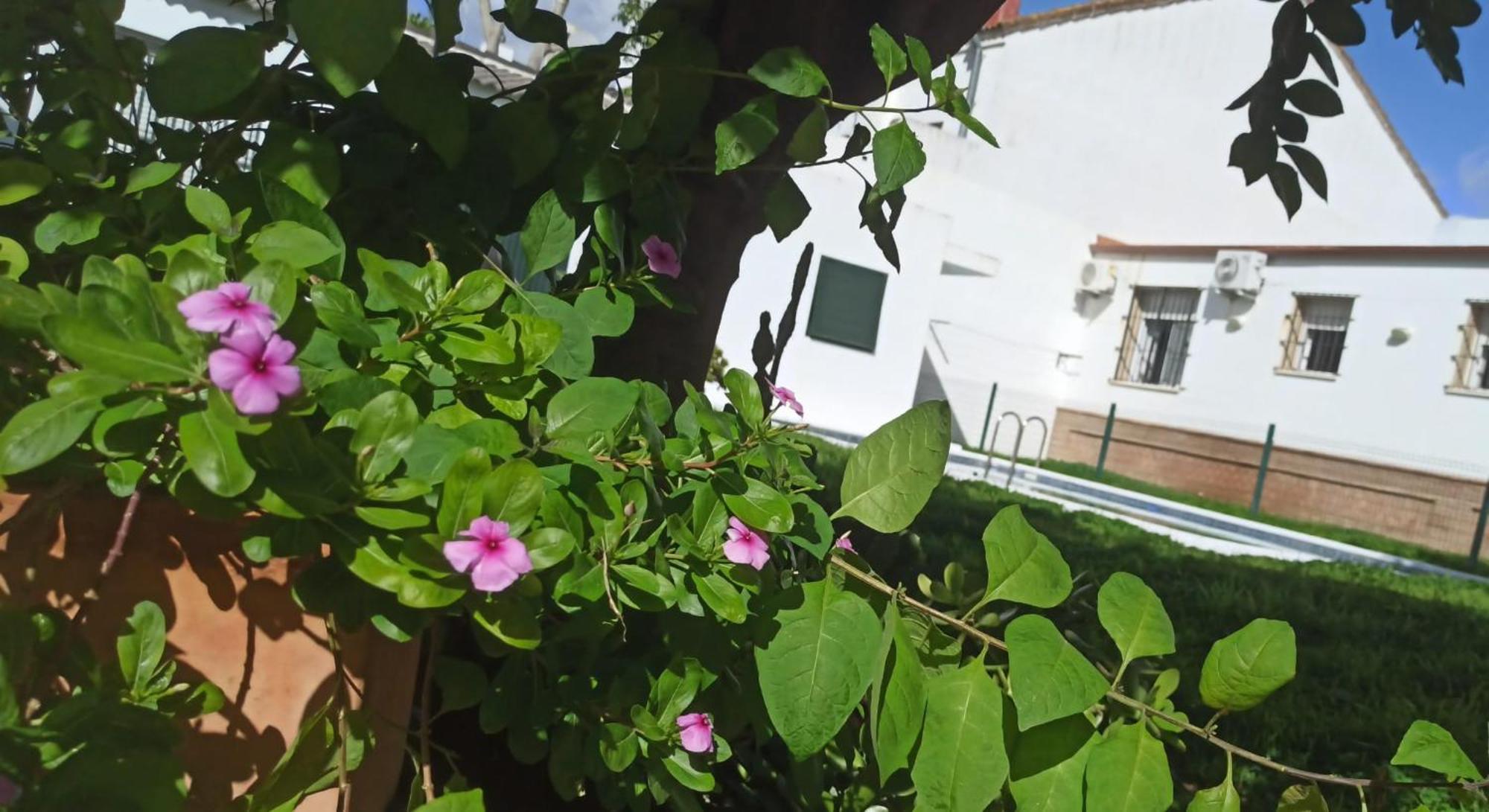 Casa Turquesa Vila Valencina de la Concepción Exterior foto